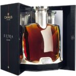 camus-extra-elegance-1321